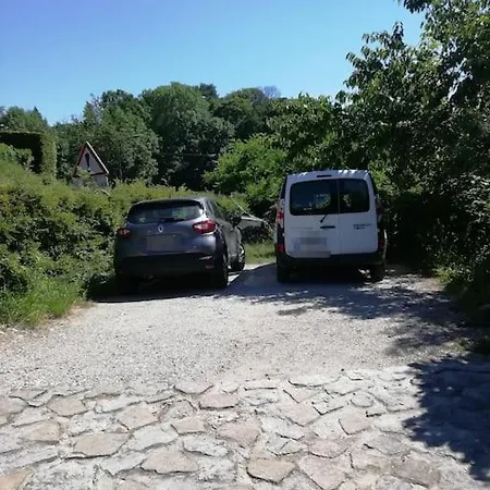 Meuble Avec Jardin Au Bord Du Bourget *